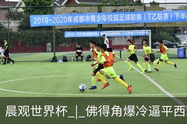 晨观世界杯 | 佛得角爆冷逼平西班牙 伊朗即将登场